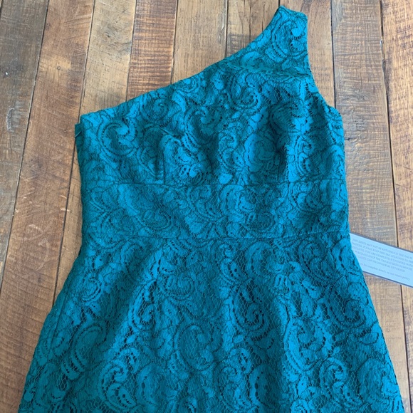 J Crew Alexa Dress in Leavers Lace - Picture 6 of 6